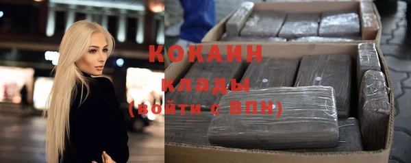 индика Абинск