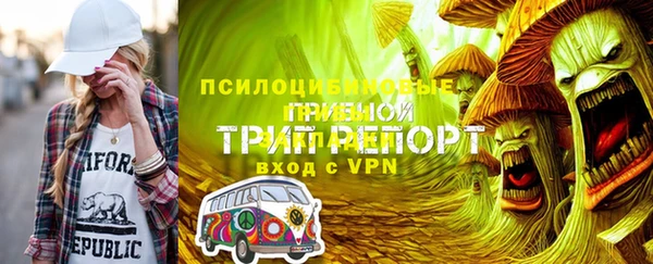 индика Абинск