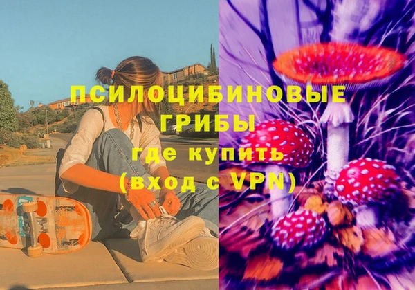 индика Абинск