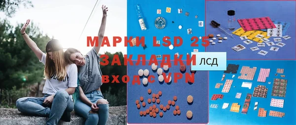 индика Абинск
