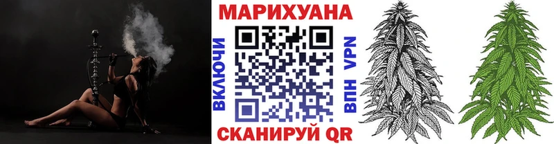 МАРИХУАНА план где найти omg ссылки Чкаловск
